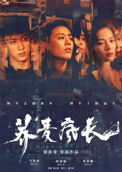 威尔伯福斯大学设计学位证